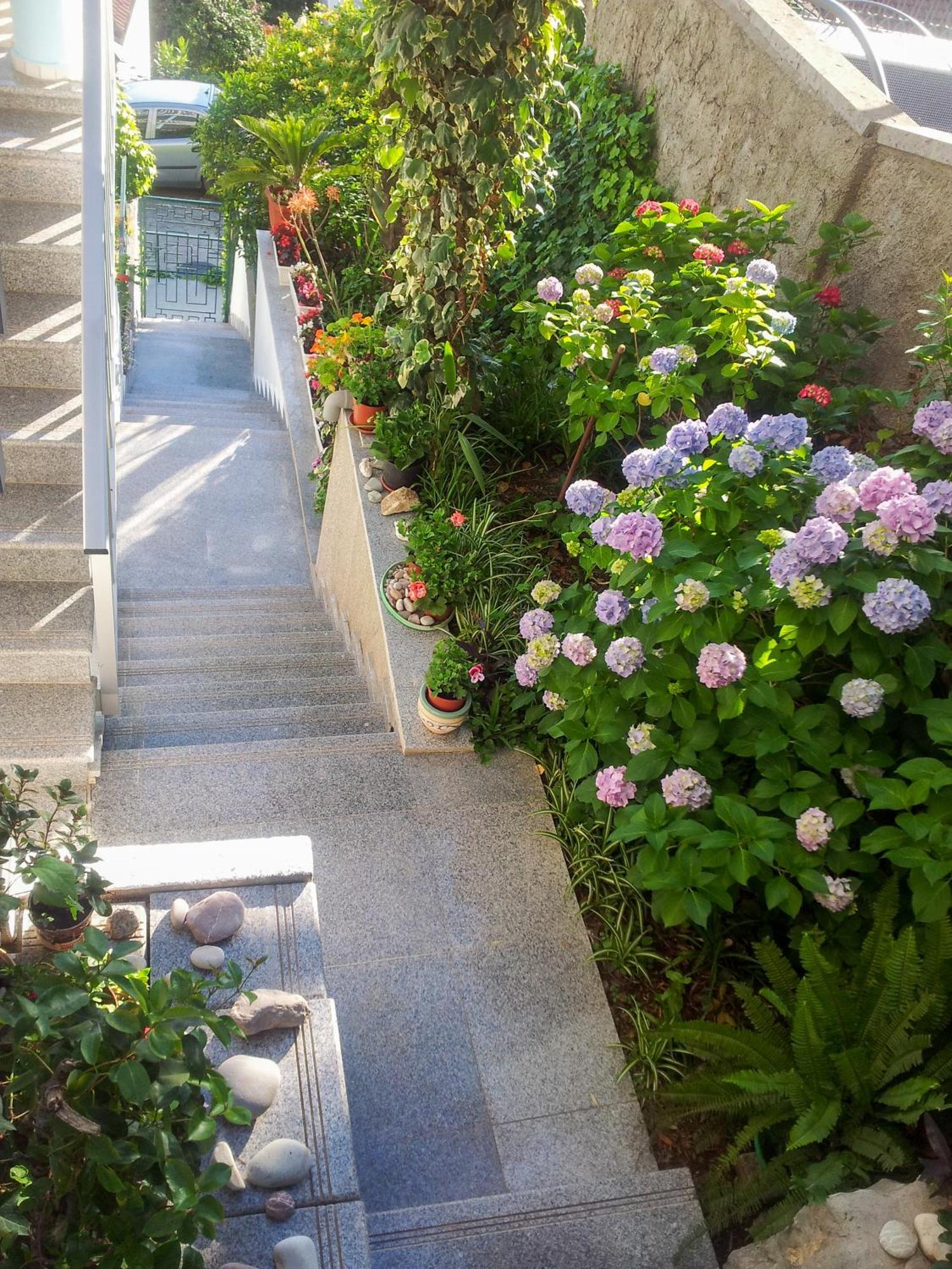 Panorama Apartments Budva Ngoại thất bức ảnh
